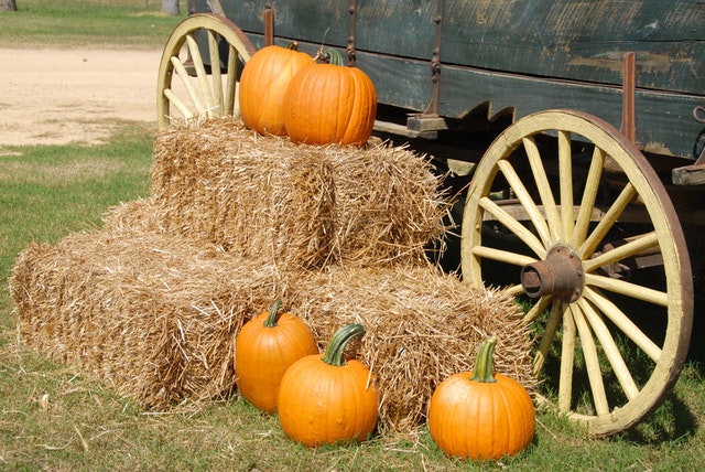 2024 Heathsville Fall Harvest Fest